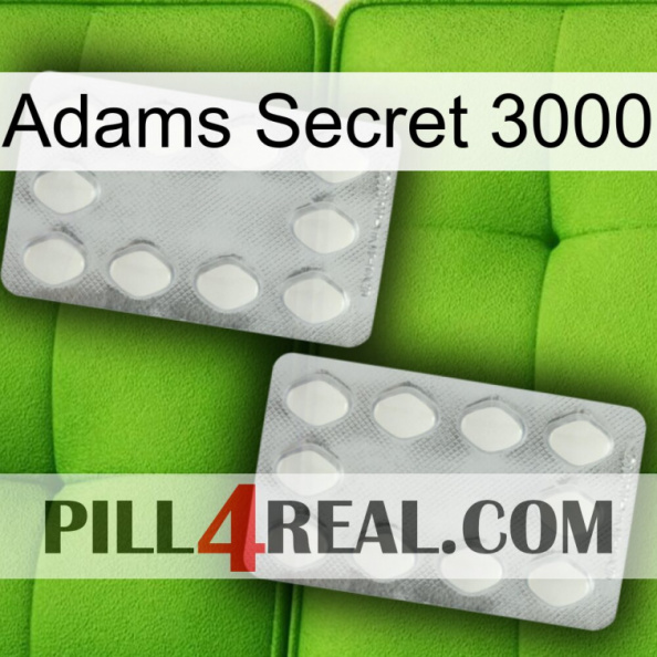 Adams Secret 3000 17.jpg